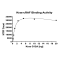 Kras G12A–cRAF Binding Assay Kit